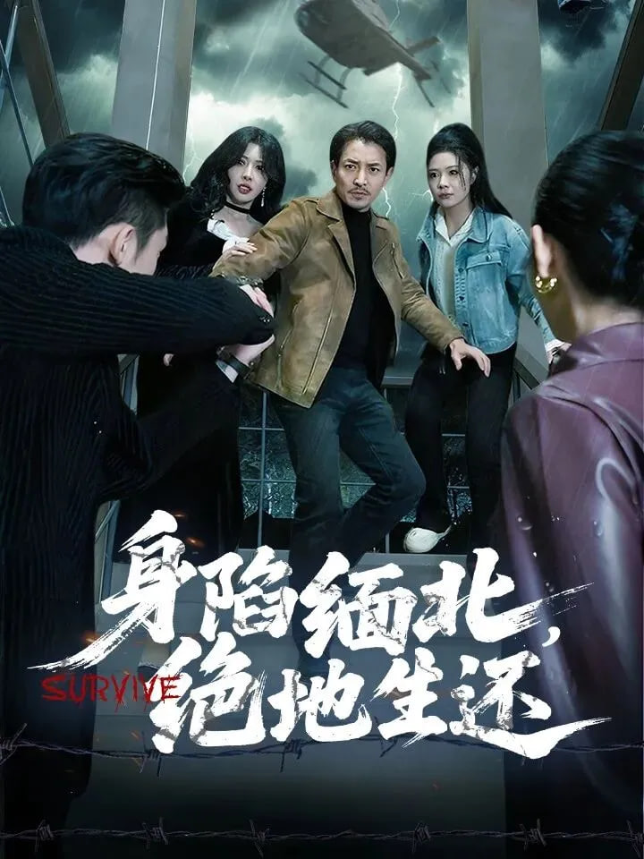综艺节目封面
