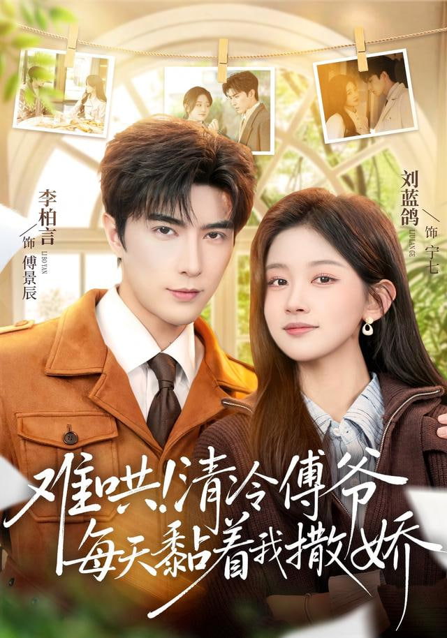 热播剧集封面